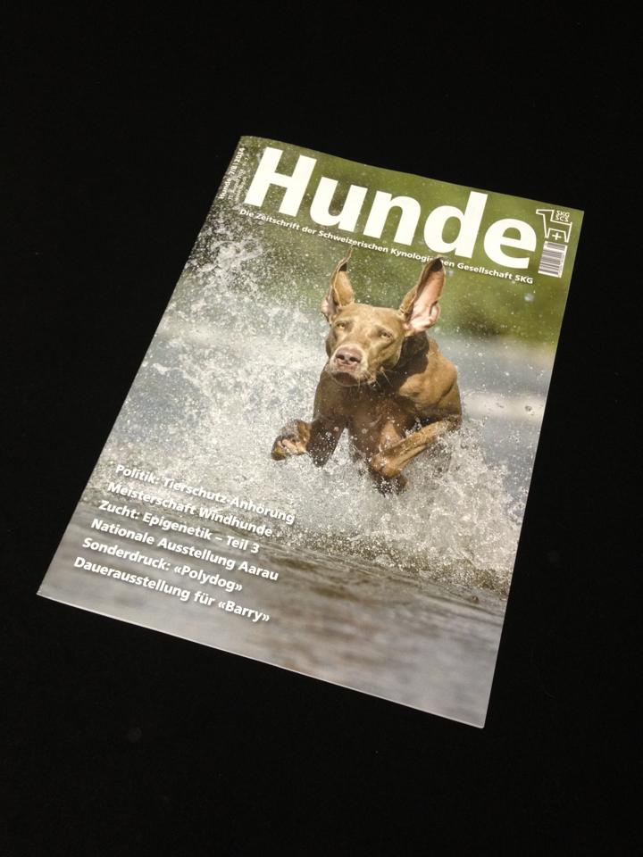 Zeitschrift "Hunde" der SKG - Bild von www.hunde-fotoshooting.ch