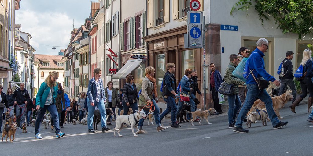 Flashmob des Tierschutz beider Basel
